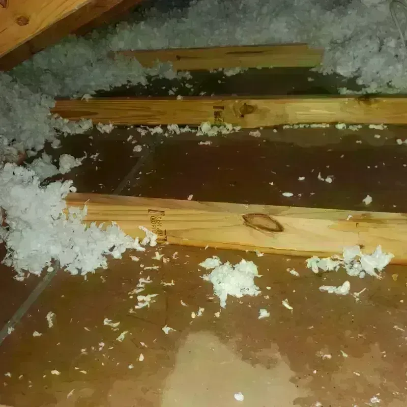 Attic Water Damage in Manchester, CT